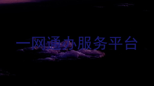 一网通办服务平台