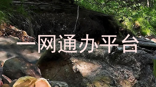 一网通办平台
