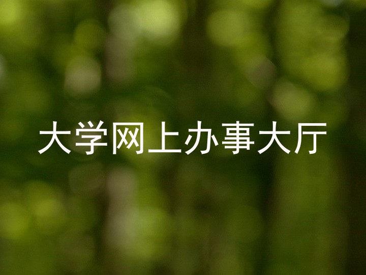 大学网上办事大厅