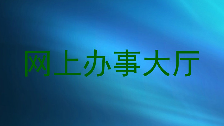 网上办事大厅