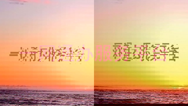 一网通办服务平台