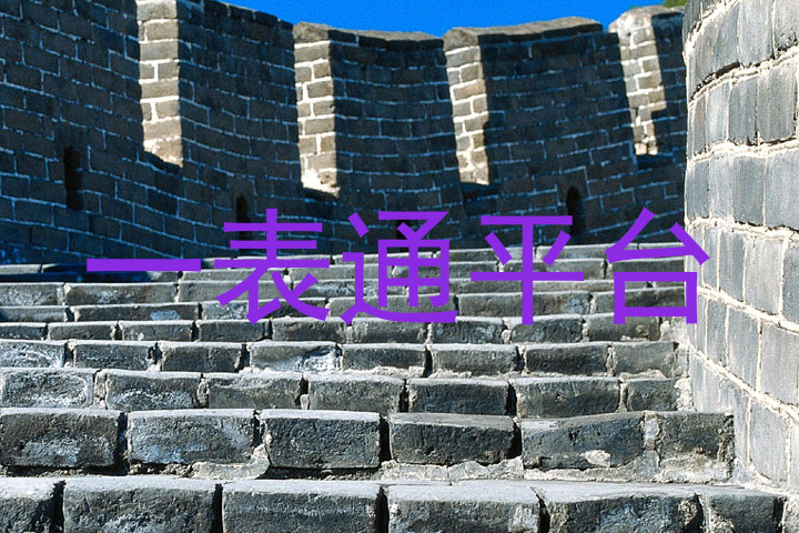 一表通平台