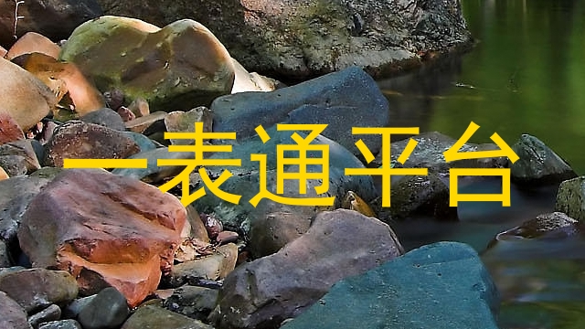 一表通平台
