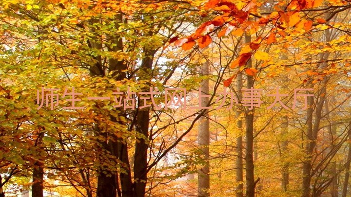 师生一站式网上办事大厅