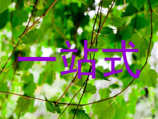 一站式