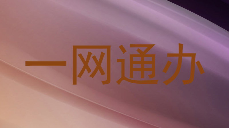 一网通办