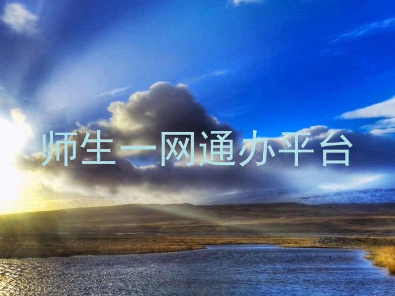 师生一网通办平台