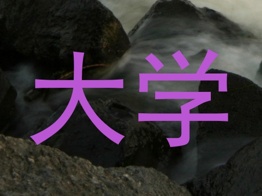大学