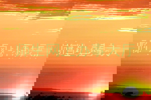师生网上办事大厅