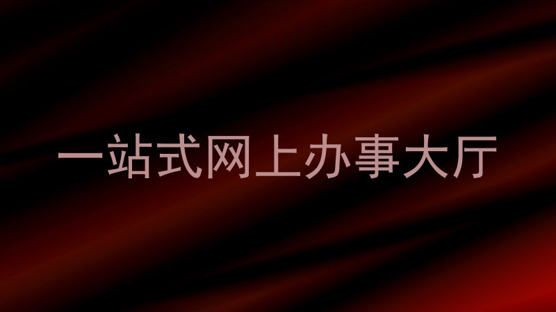 一站式网上办事大厅