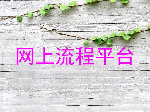 网上流程平台