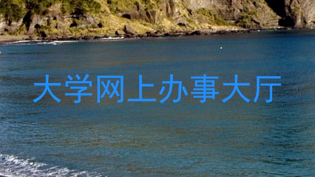 大学网上办事大厅