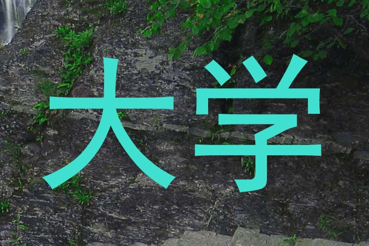 大学