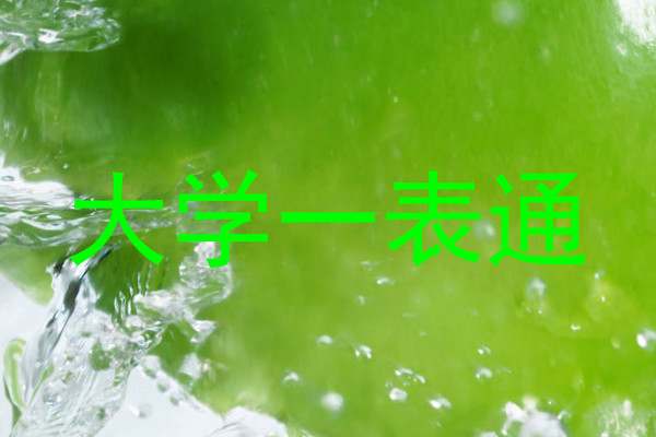 大学一表通