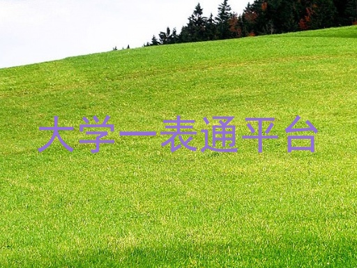 大学一表通平台