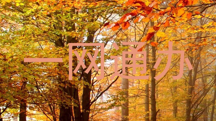 一网通办