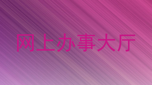 网上办事大厅