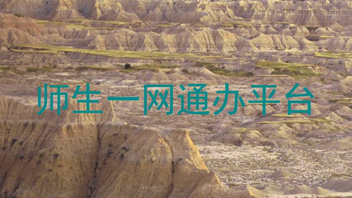 师生一网通办平台