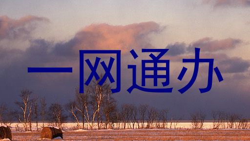一网通办