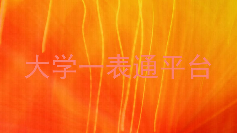 大学一表通平台