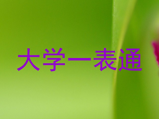 大学一表通