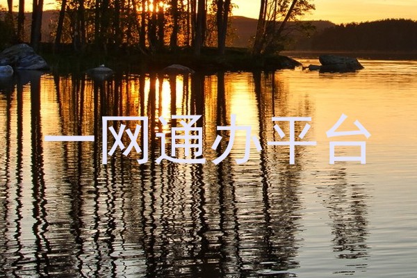 一网通办平台