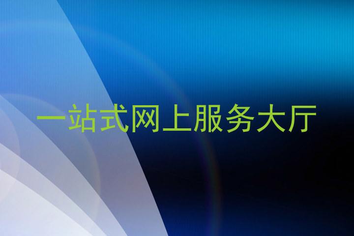 一站式网上服务大厅