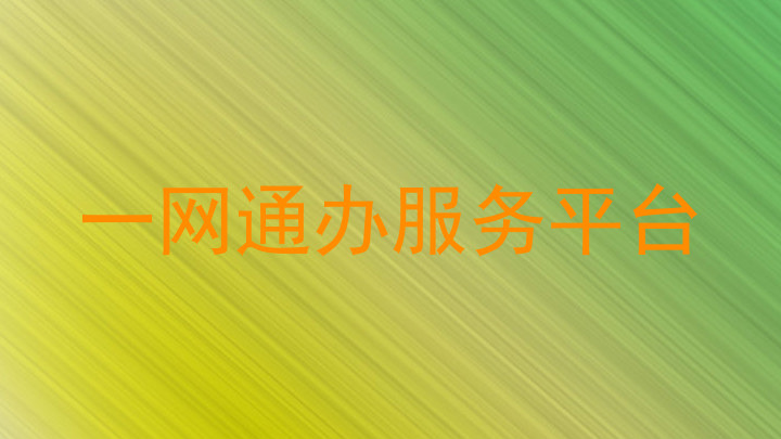 一网通办服务平台