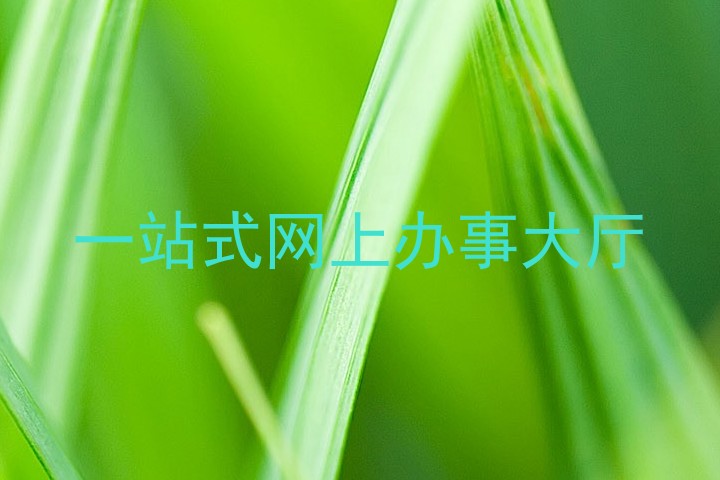 一站式网上办事大厅