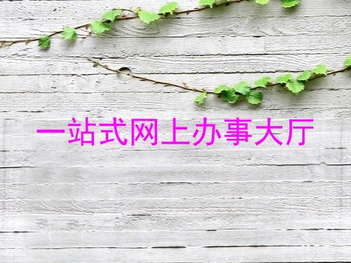 一站式网上办事大厅