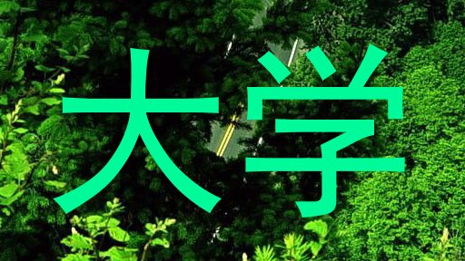 大学
