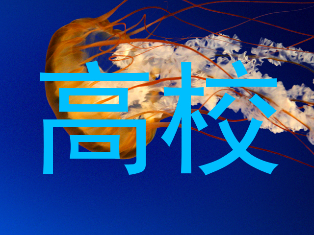 高校