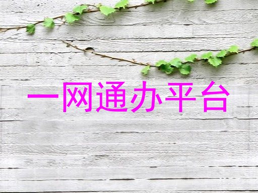 一网通办服务平台