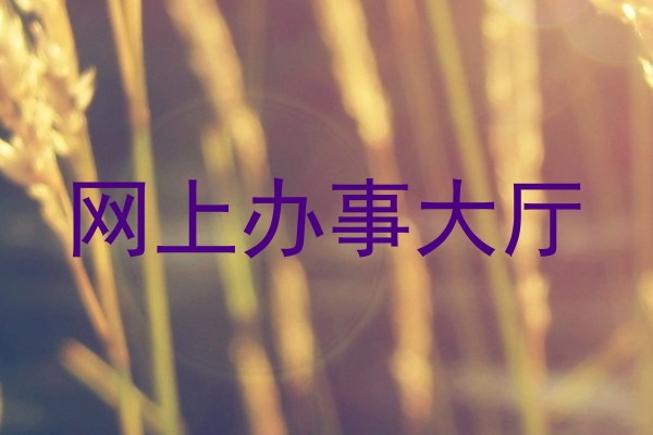 网上办事大厅
