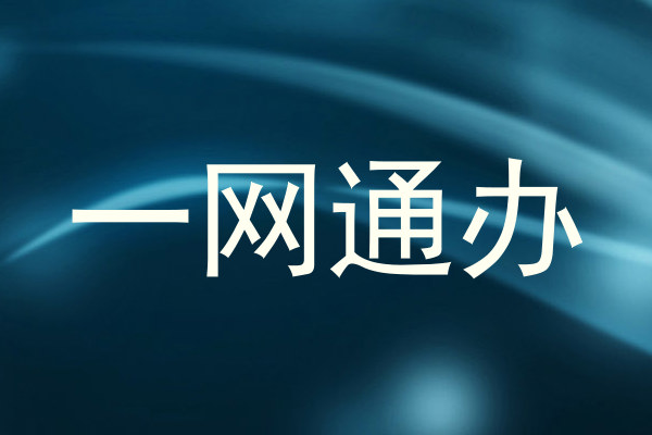 一网通办