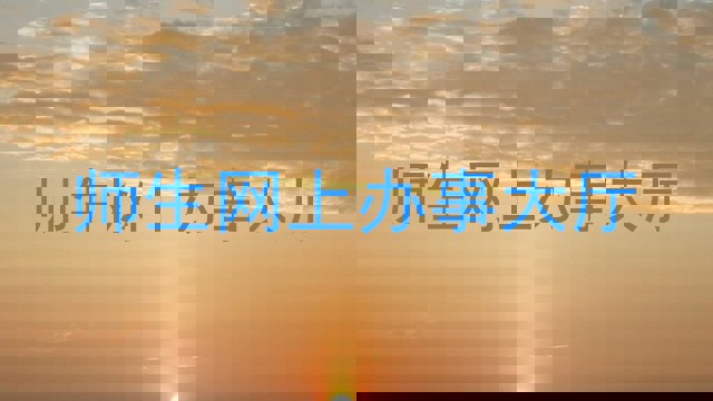 师生网上办事大厅