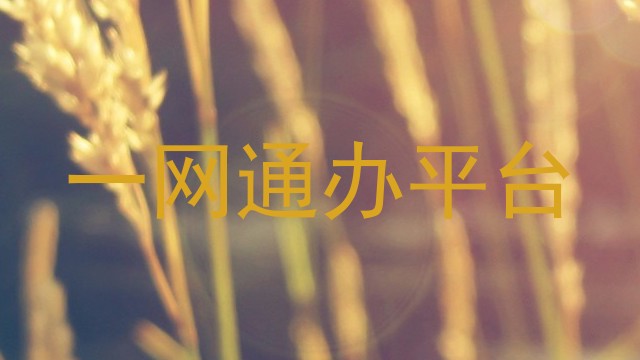 一网通办平台