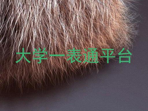 大学一表通平台