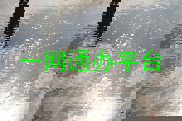 一网通办服务平台