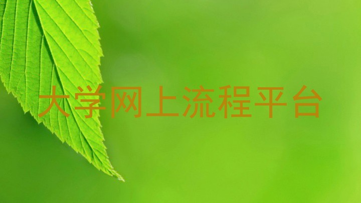 大学网上流程平台