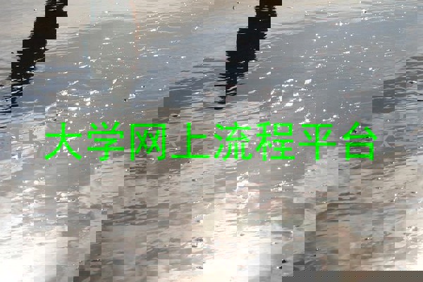 大学网上流程平台