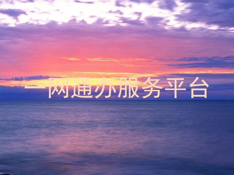 一网通办服务平台