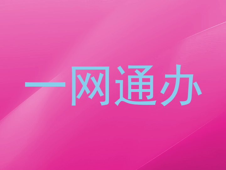 一网通办