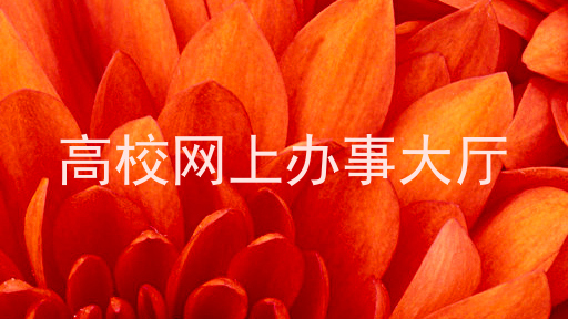 高校网上办事大厅