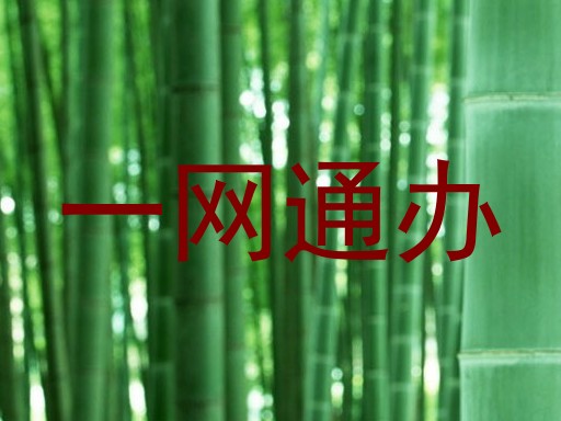 一网通办