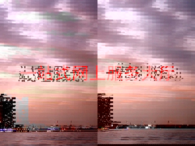 一站式网上服务大厅