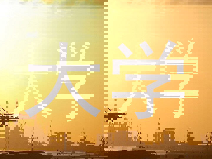 大学