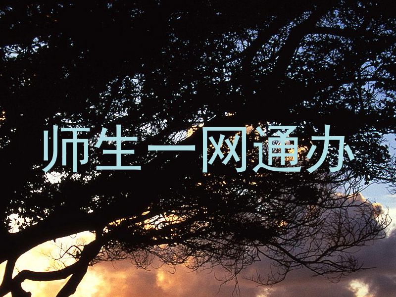 师生一网通办