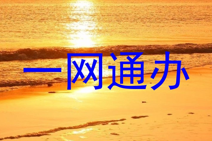 一网通办
