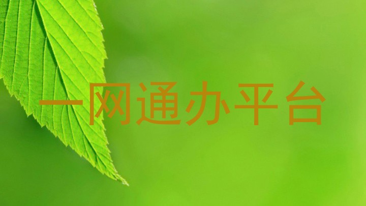 一网通办平台